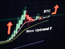 Bitcoin Price Prediction: What to Expect in the Coming Months