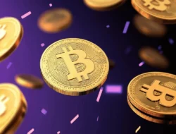 Crypto’s Hidden Gems: Underrated Coins with Massive Potential